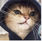 ڳ˾,УΪ:Ϸԭδã鿴ϸ